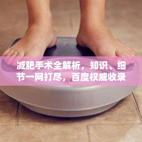 减肥手术全解析，知识、细节一网打尽，百度权威收录标题