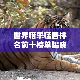 世界猎杀猛兽排名前十榜单揭晓！