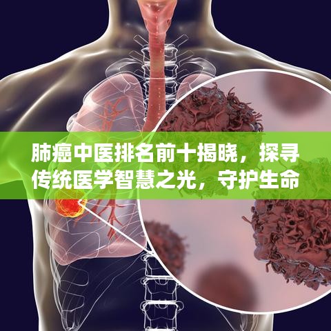 肺癌中医排名前十揭晓，探寻传统医学智慧之光，守护生命健康之路