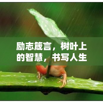 励志箴言，树叶上的智慧，书写人生的精彩篇章