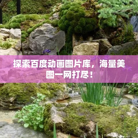 夫荣妻贵 第2页