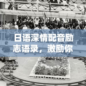 日语深情配音励志语录，激励你前行的力量之源！