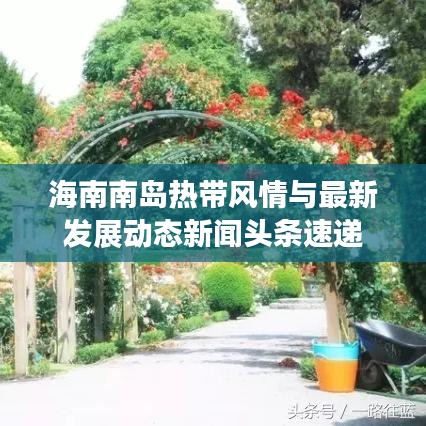 荣华富贵 第2页