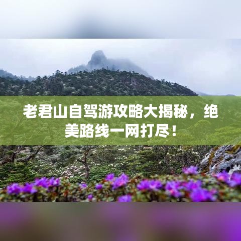 无拘无束 第2页