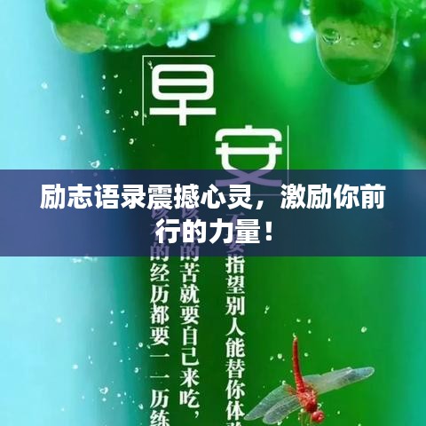 兵贵神速 第2页