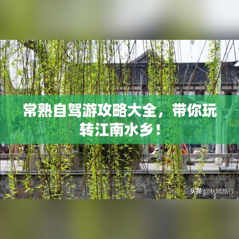 纲挈目张 第2页