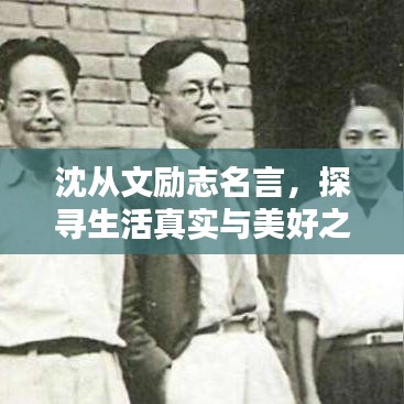 半截鸟木 第2页