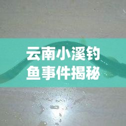 布被瓦器 第2页