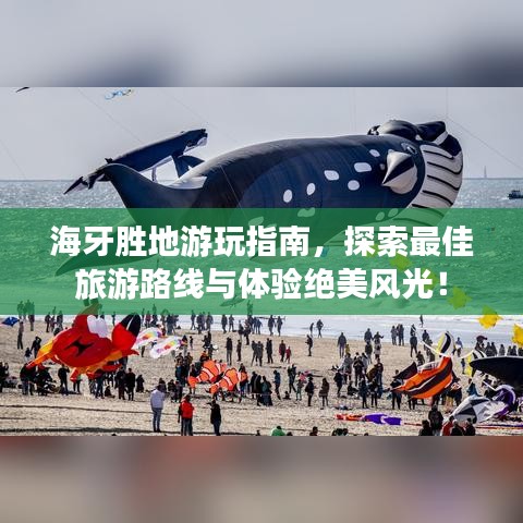 海牙胜地游玩指南，探索最佳旅游路线与体验绝美风光！