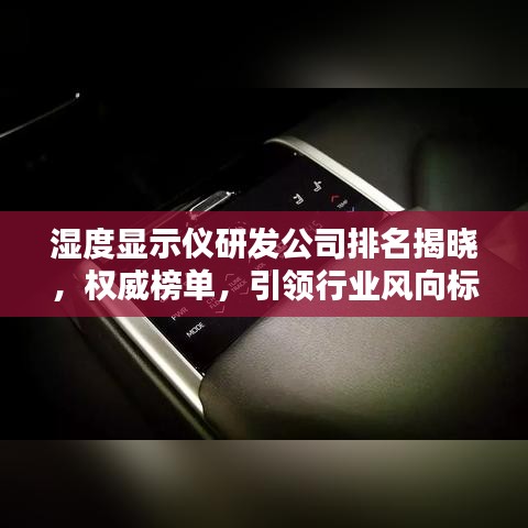 湿度显示仪研发公司排名揭晓，权威榜单，引领行业风向标！
