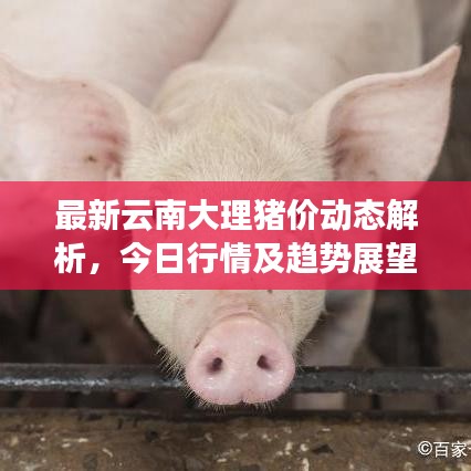 长安米贵 第2页