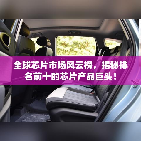 物稀为贵 第2页