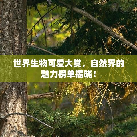 张骞乘槎 第2页