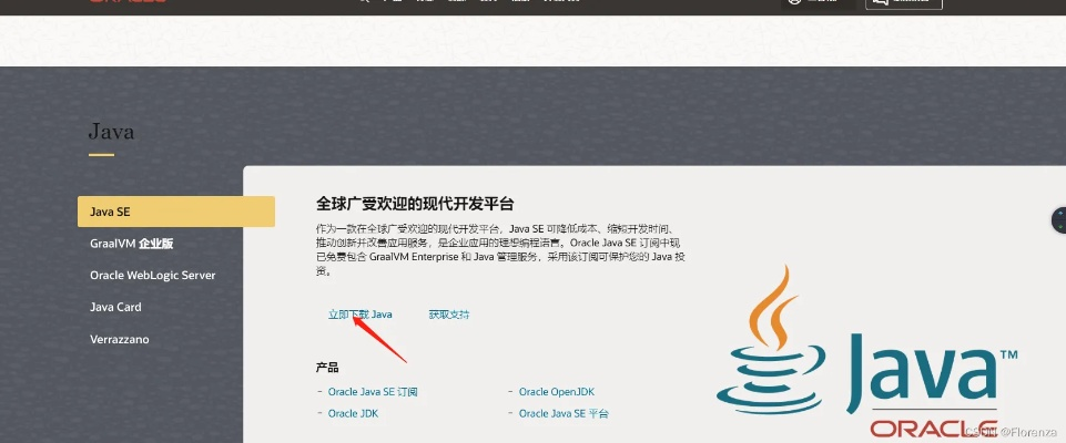 java下载最新版本,专家解读说明&amp;VE版_v8.798