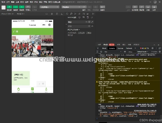 微信旧版本下，仿真实现方案_进阶版1_v3.490，免费且强大的软件价值
