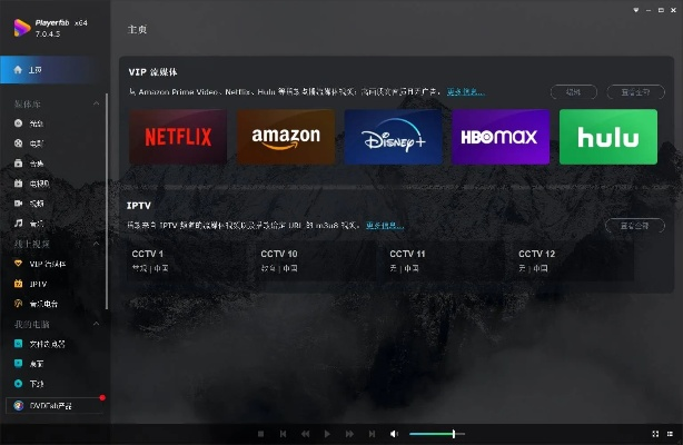 大华播放器下载 官方,专业解答执行_Superior_v6.798