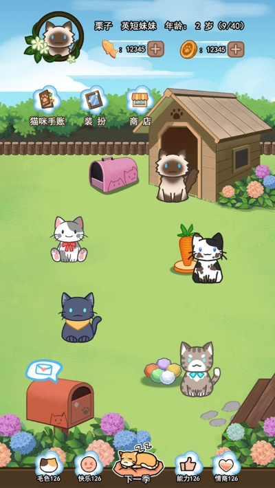 猫猫栽培官方下载,实地验证分析策略 超值版_v6.444