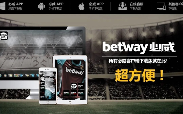 和球官方下载与新视界激活码购买,深层策略设计解析&amp;创意版_v7.628