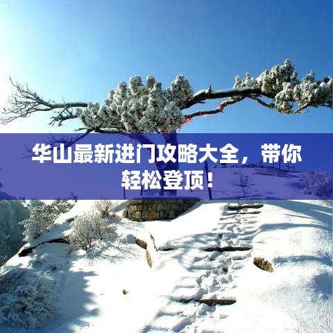 华山最新进门攻略大全,带你轻松登顶!