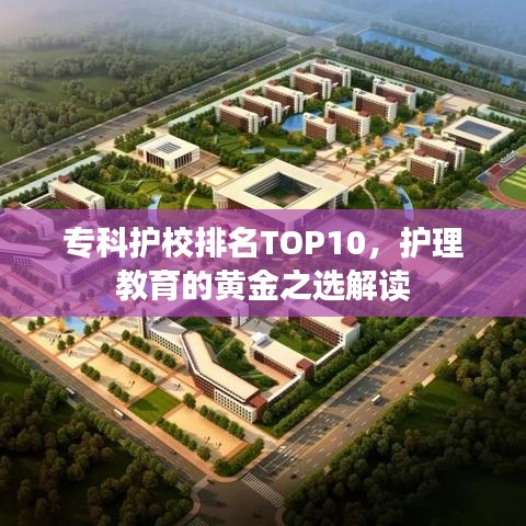 专科护校排名TOP10,护理教育的黄金之选解读