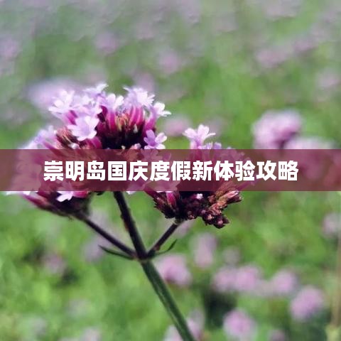 崇明岛国庆度假新体验攻略