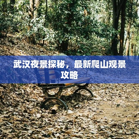武汉夜景探秘，最新爬山观景攻略