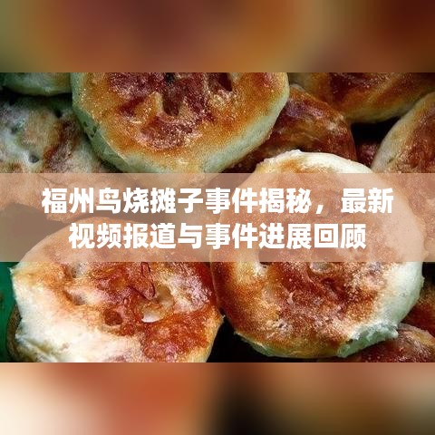 福州鸟烧摊子事件揭秘,最新视频报道与事件进展回顾