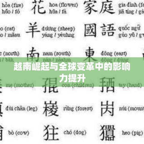 越南崛起与全球变革中的影响力提升