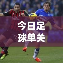 今日足球单关赛事重磅推荐!