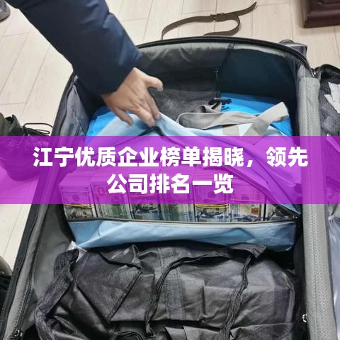 江宁优质企业榜单揭晓,领先公司排名一览