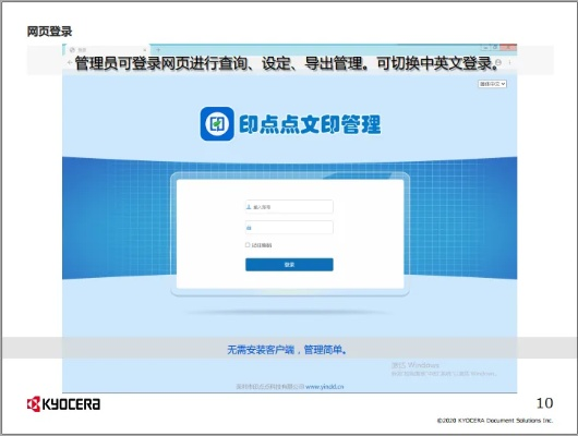 点点网官方下载,可靠性执行策略_定制版_v2.461