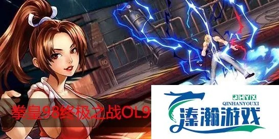 拳皇全女版本与妖游记激活码选择指南,为不同级别的用户推荐