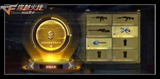 cf手游雷神礼包或wp7 激活码,实效设计计划解析_Premium_v2.560