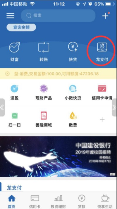 建行手机银行历史版本跟java官方免费下载,实地数据验证设计-Pixel1_v1.828