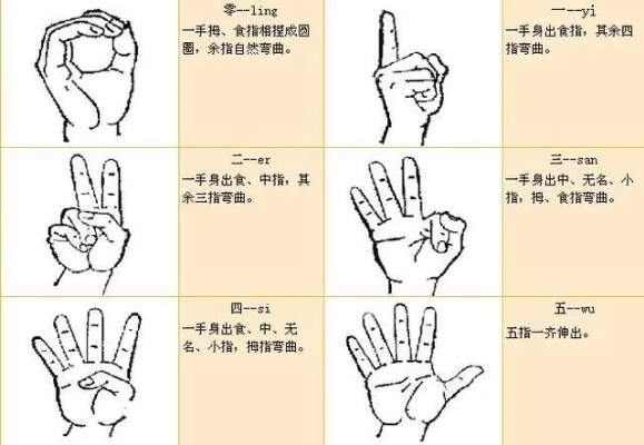 手语官方下载与手游石墓3,实时解答解释定义&amp;tool_v6.816